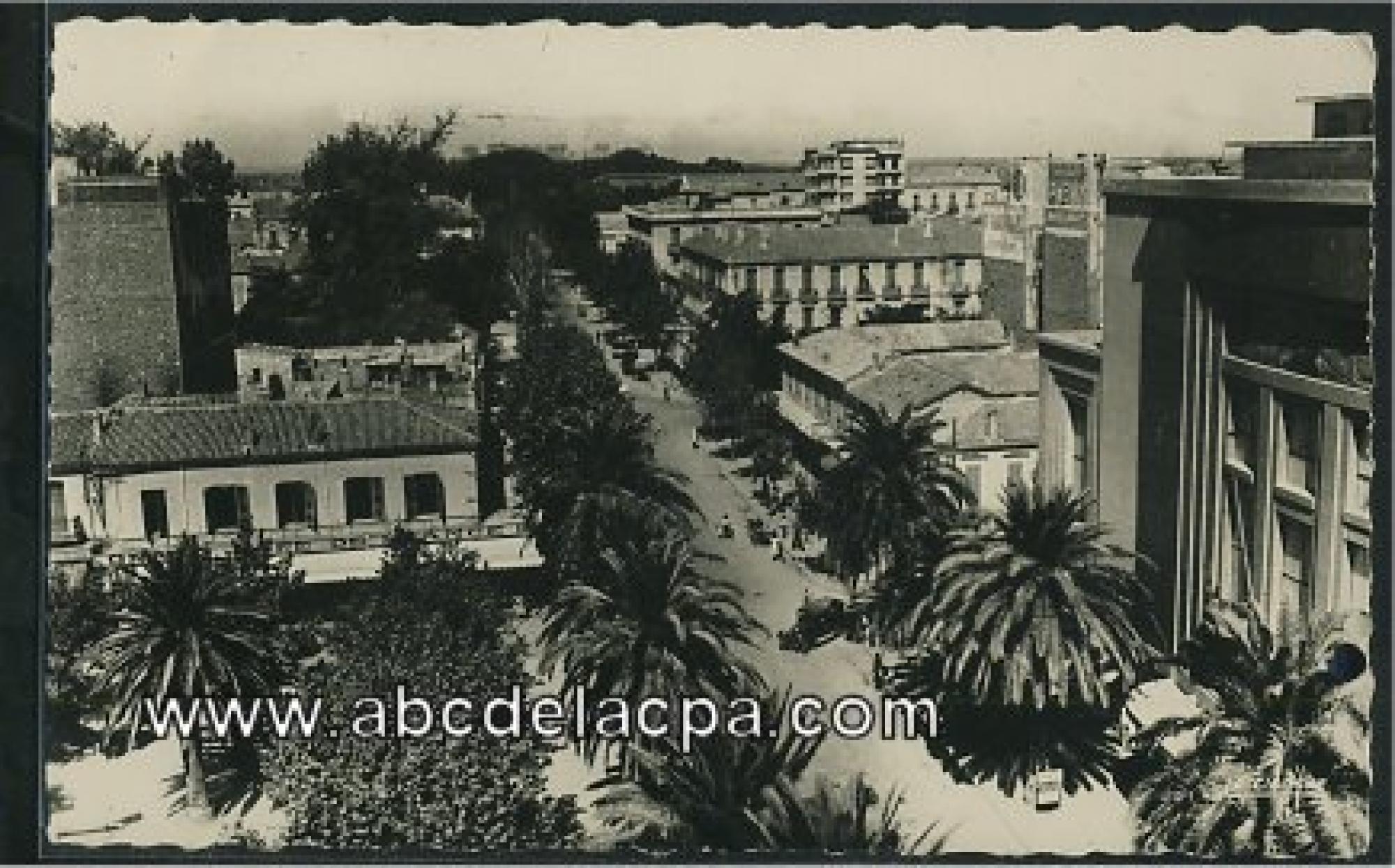 Sidi Bel Abbes  - boulevard de la république
