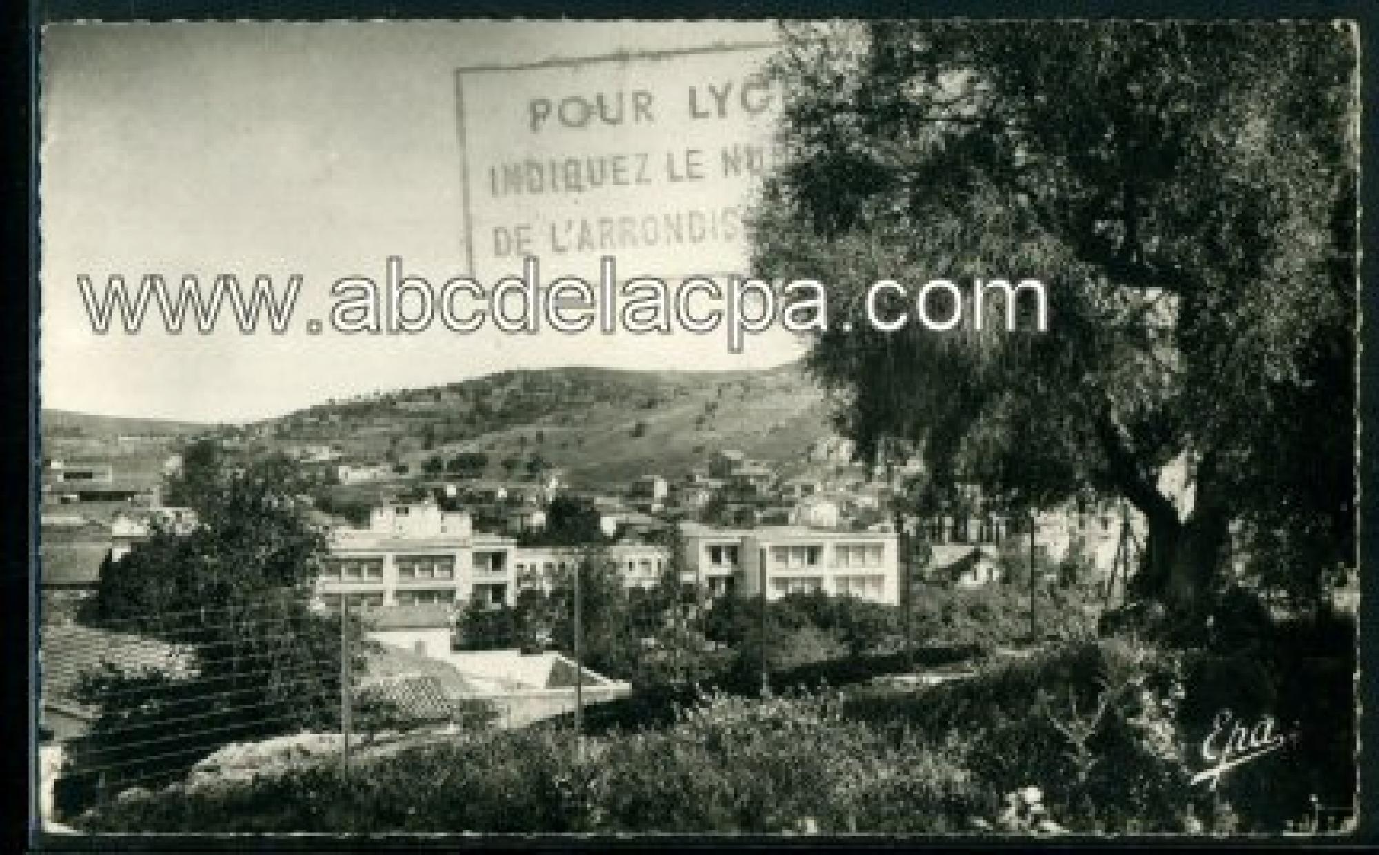 Souk Ahras  - vue partielle et olivier saint augustin