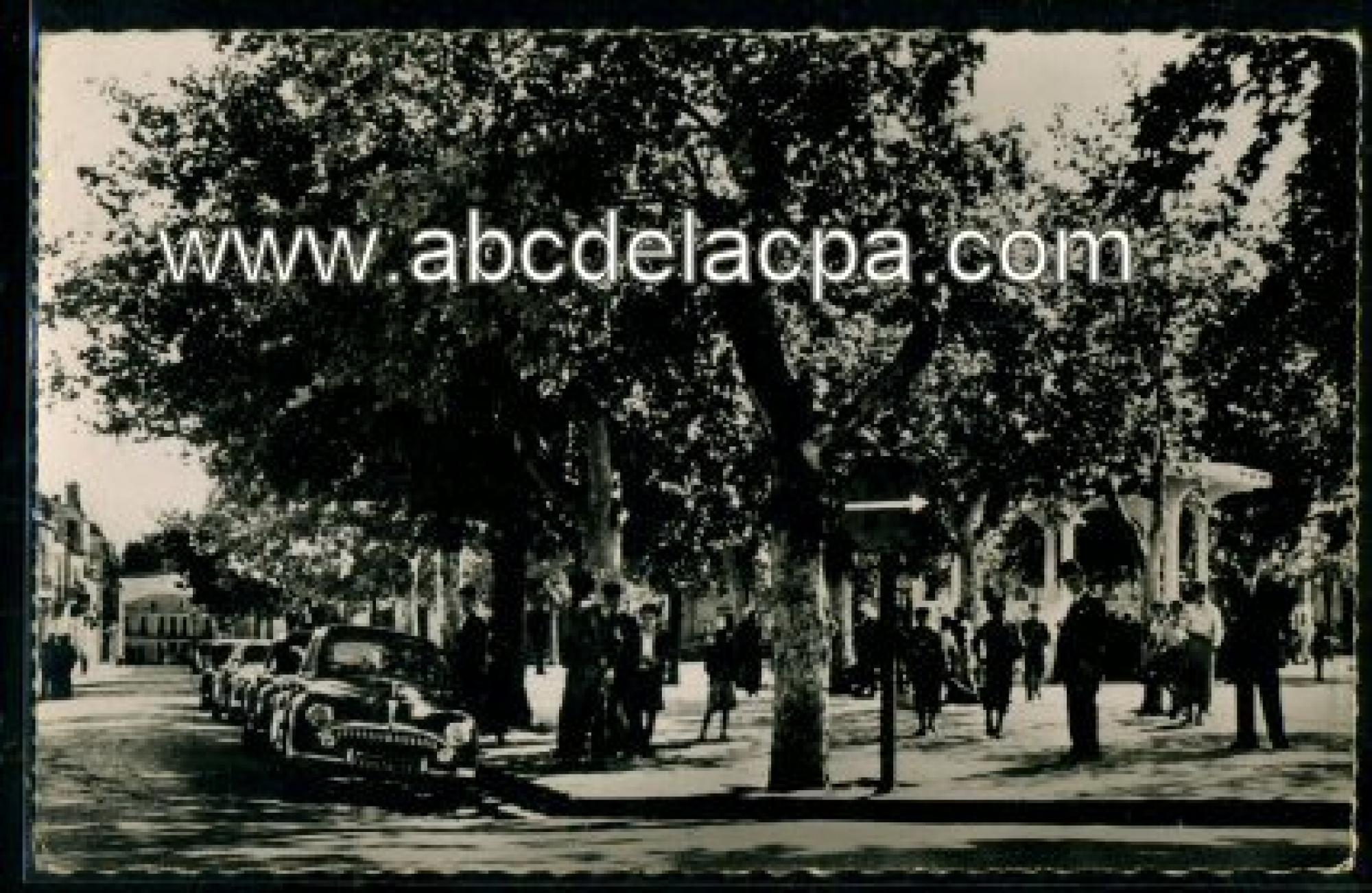 Souk Ahras  - place thagaste