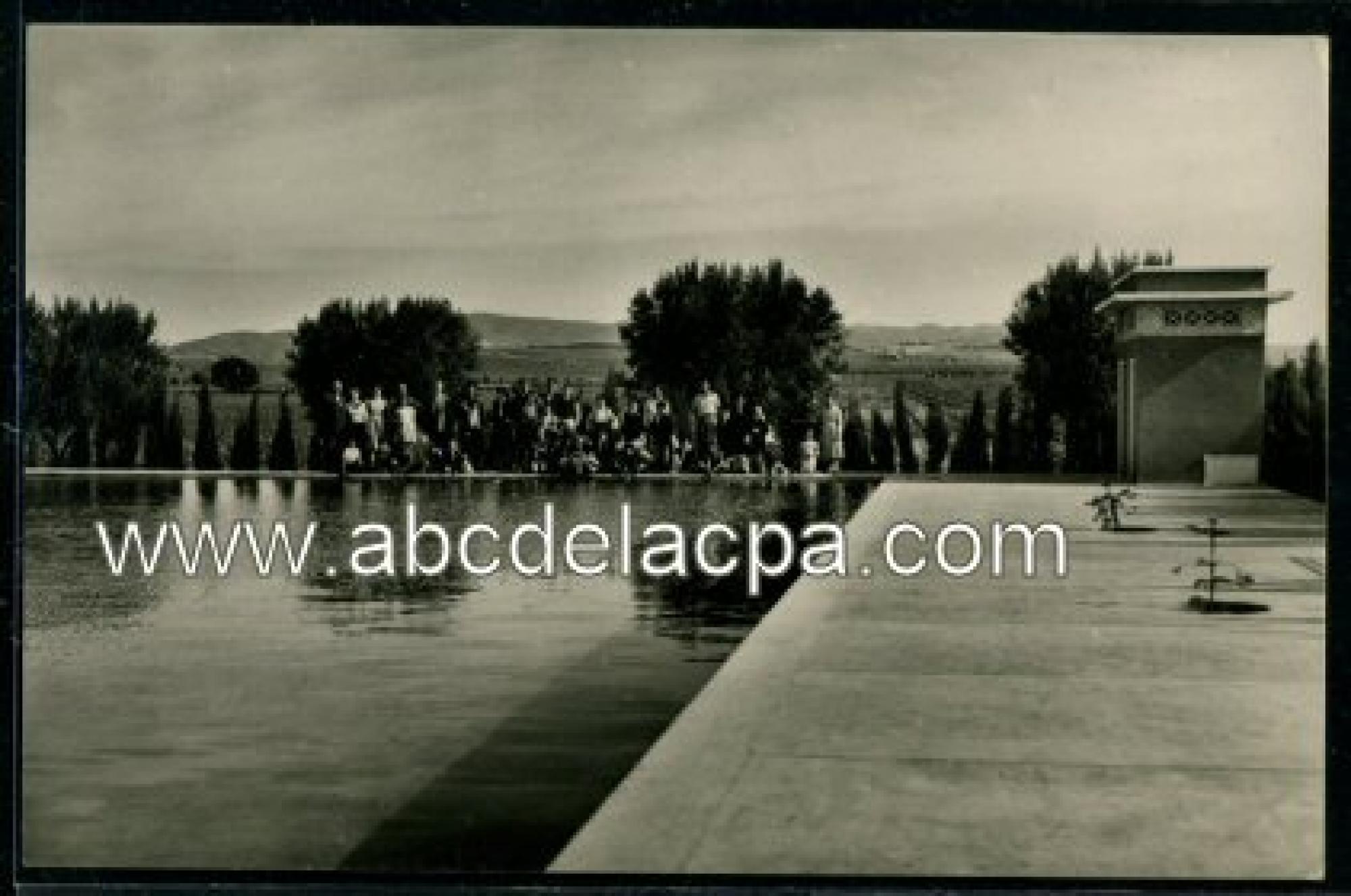 Tabia  - les louveteaux en vacances (piscine vangoyean a.f.)