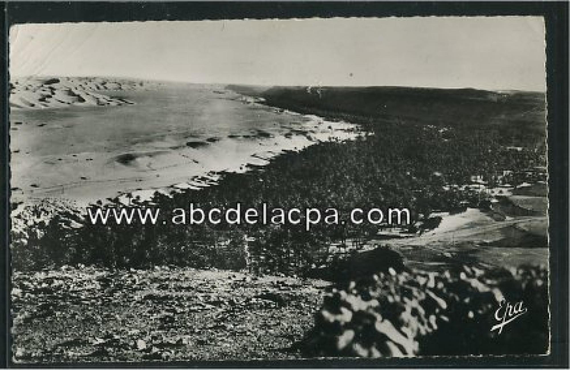 Taghit  - la palmeraie