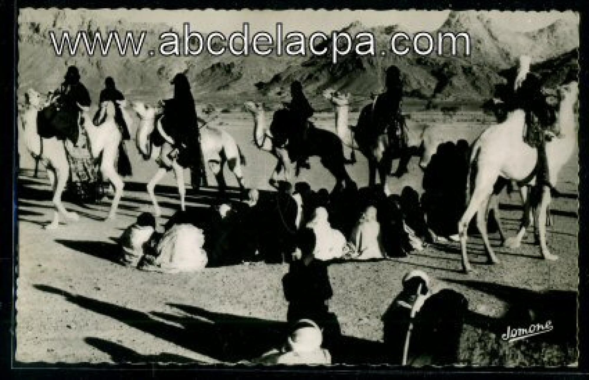 Tamanrasset  - danse des chameaux à tamanrasset