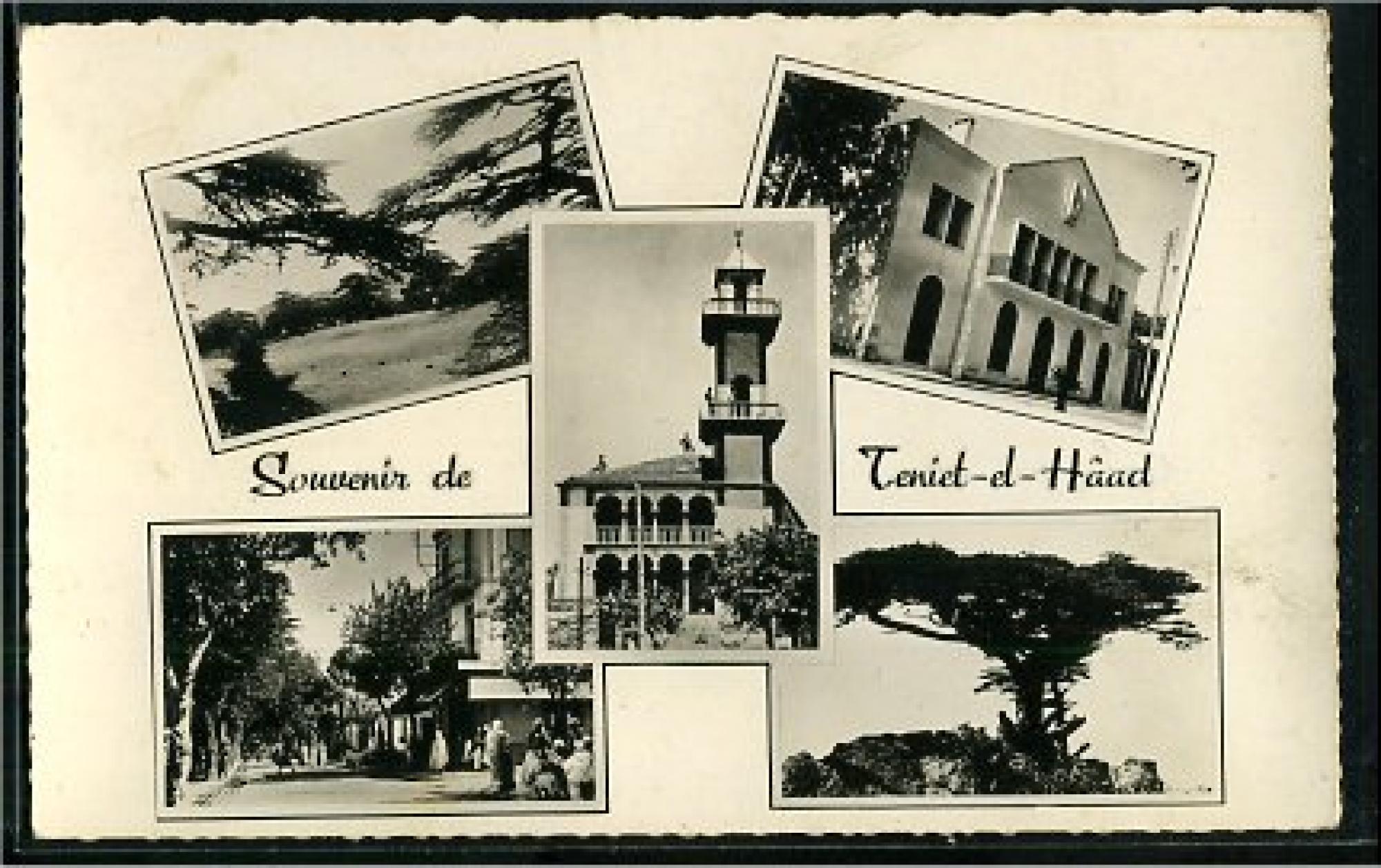 Teniet el Haad  - souvenir de teniet el haad