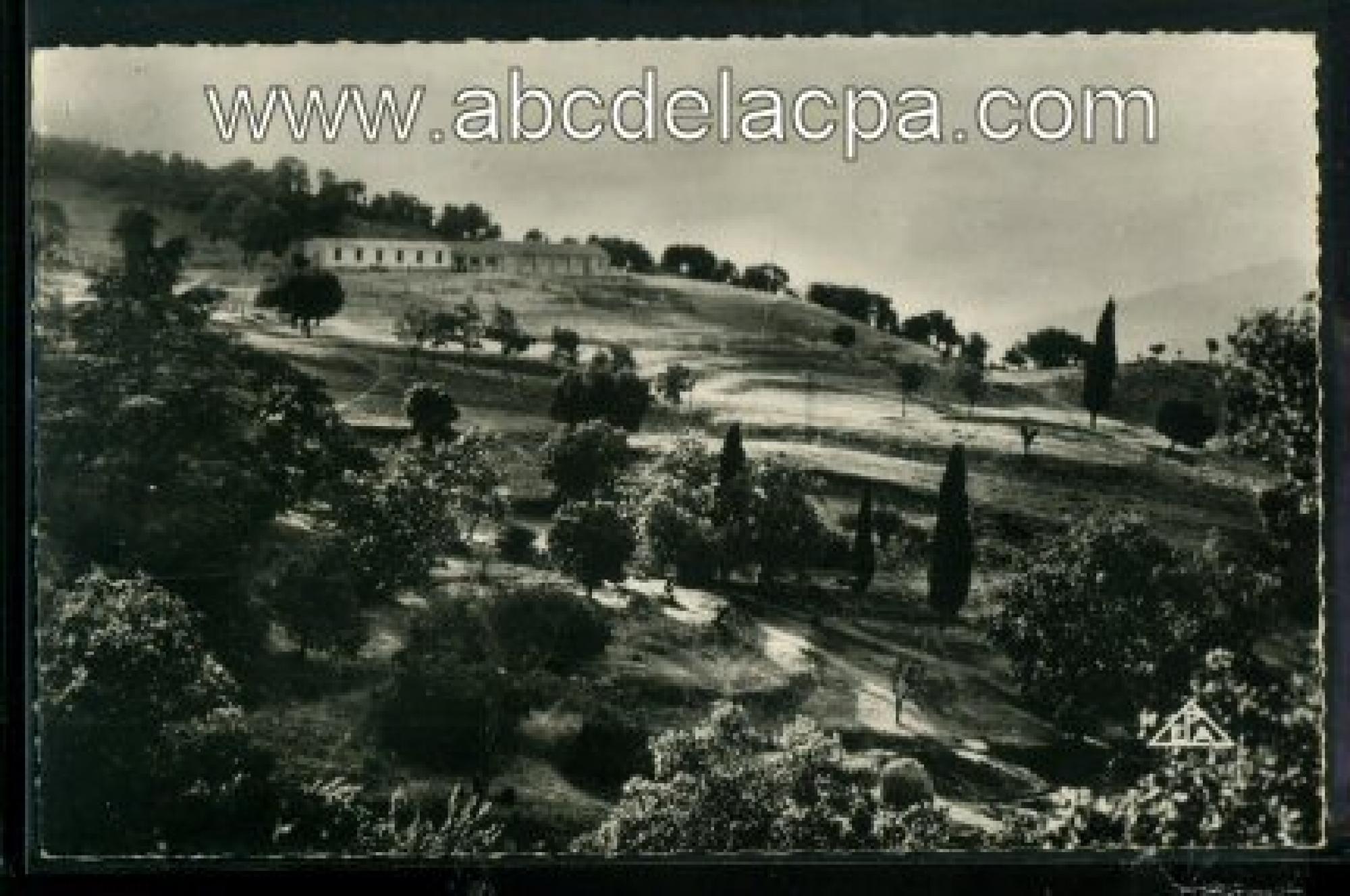 Teniet el Haad  - colonie de vacances