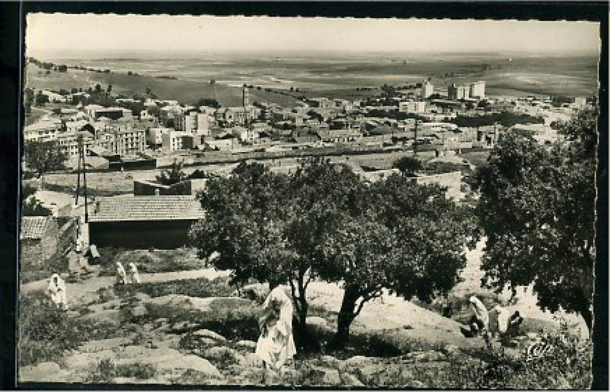 Tiaret  - vue générale