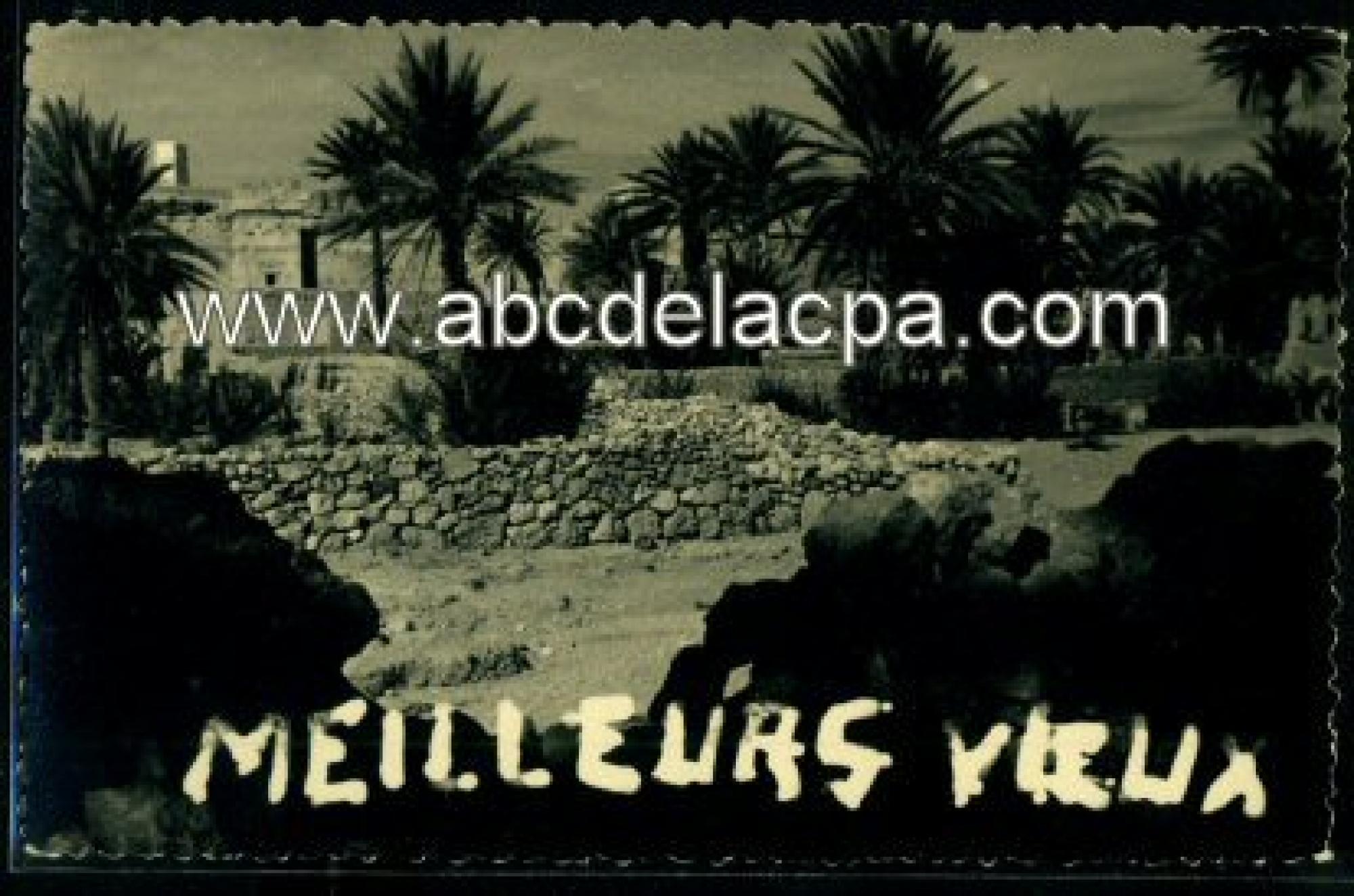 Tindouf  - meilleurs voeux