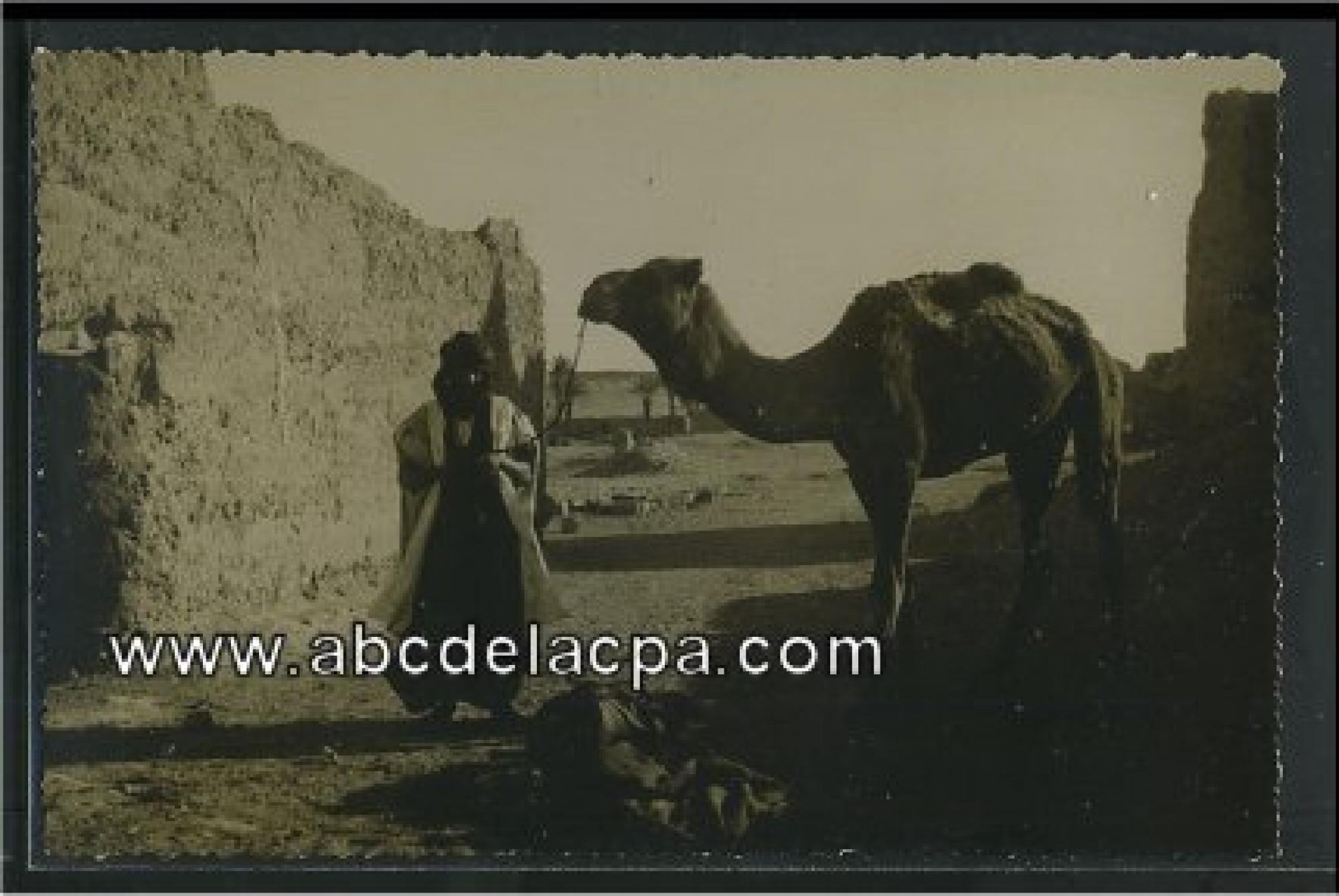 Tindouf  - le retour du r'guibat