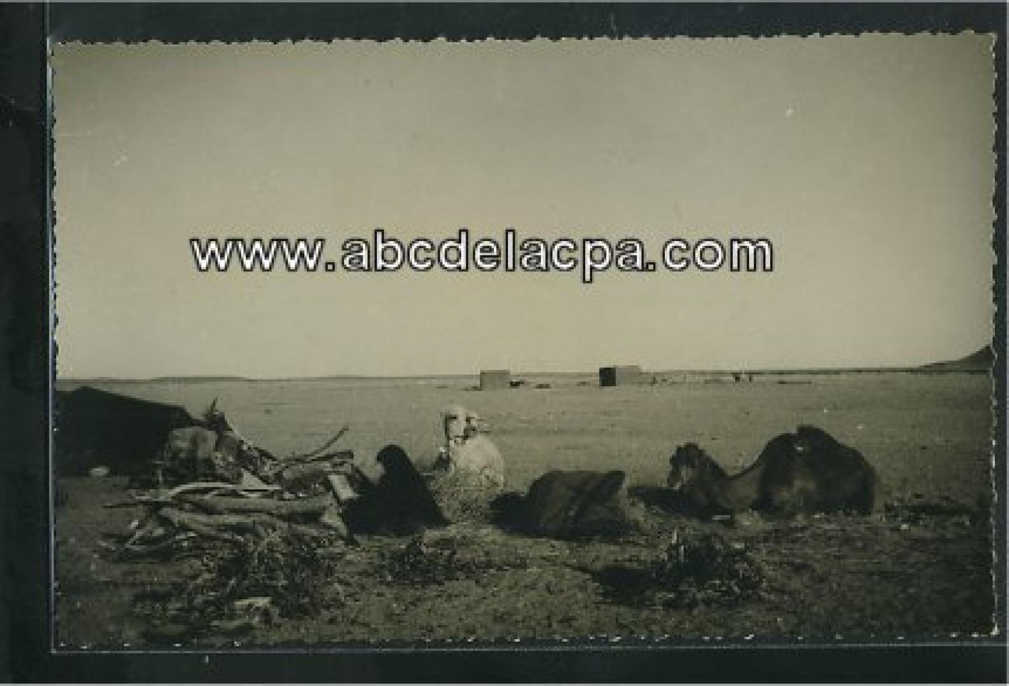 Tindouf  - campement r'guibat