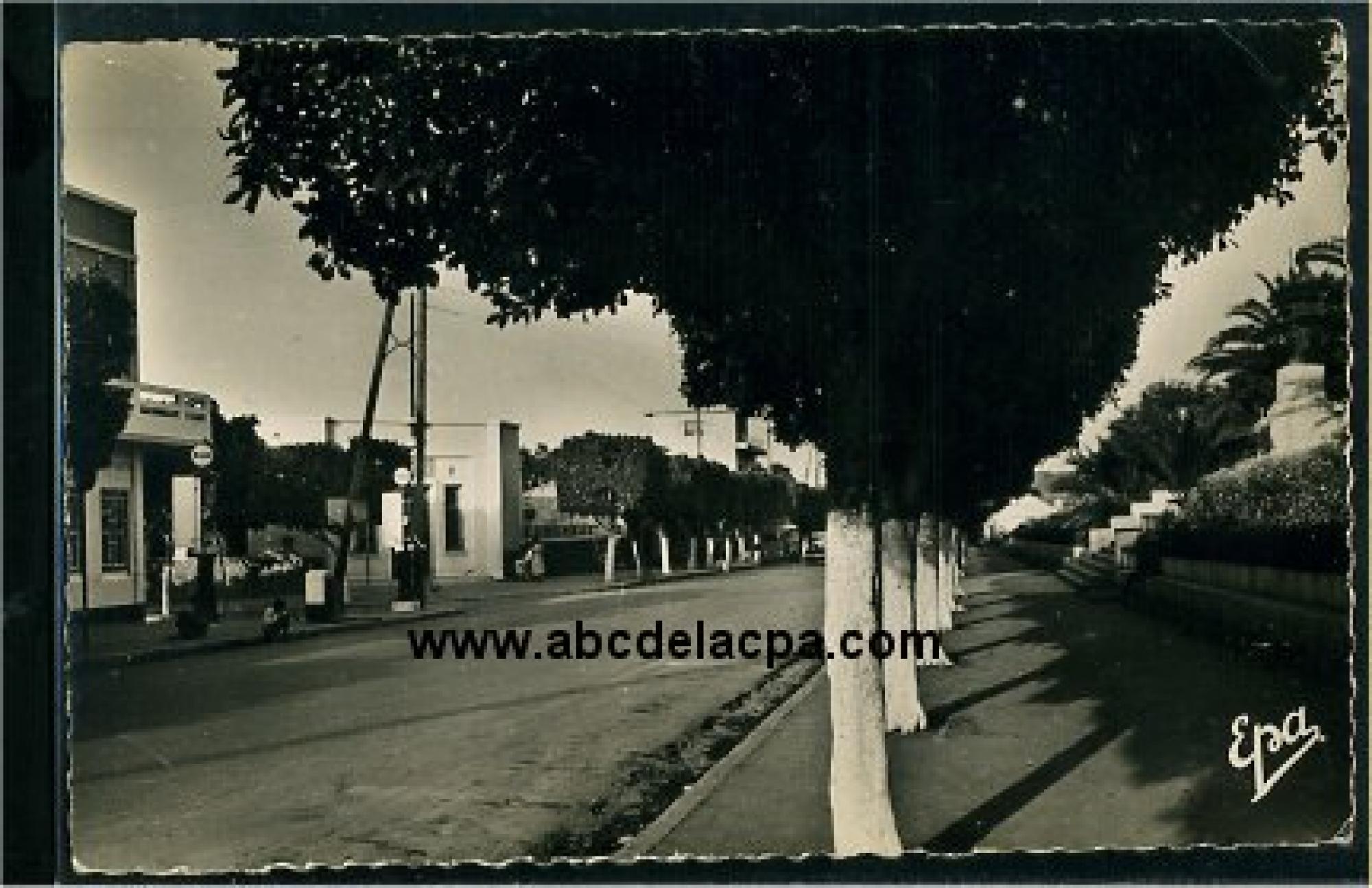 Tipaza  - rue principale