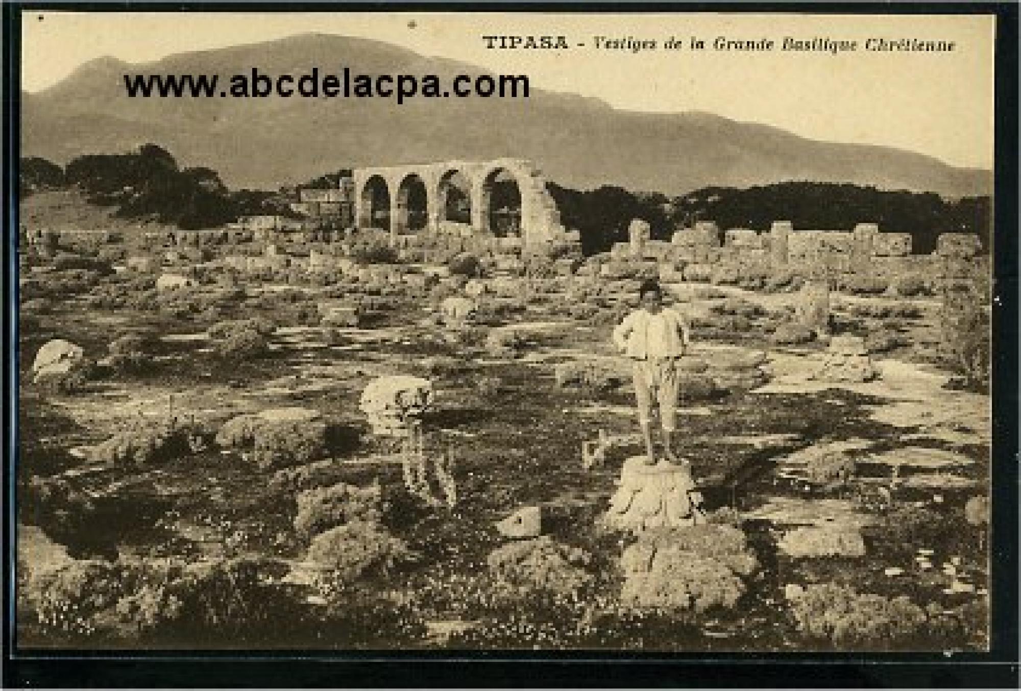 Tipaza  - vestiges de la grande basilique chrétienne