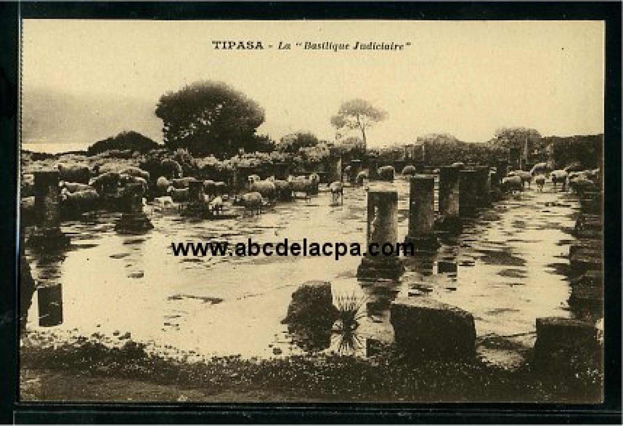 Tipaza  - la basilique judiciaire