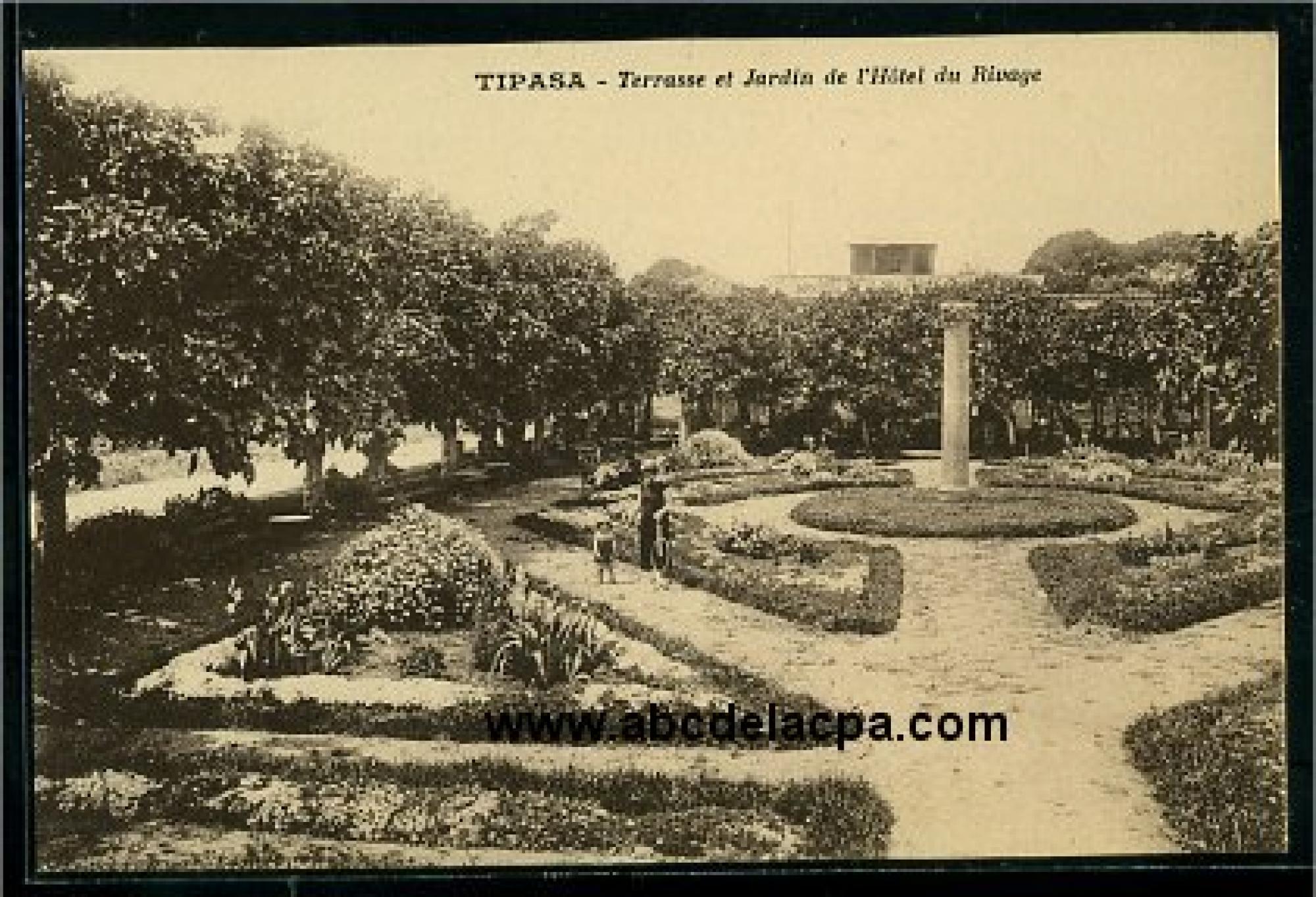 Tipaza  - terrasse et jardin de l'hôtel du rivage
