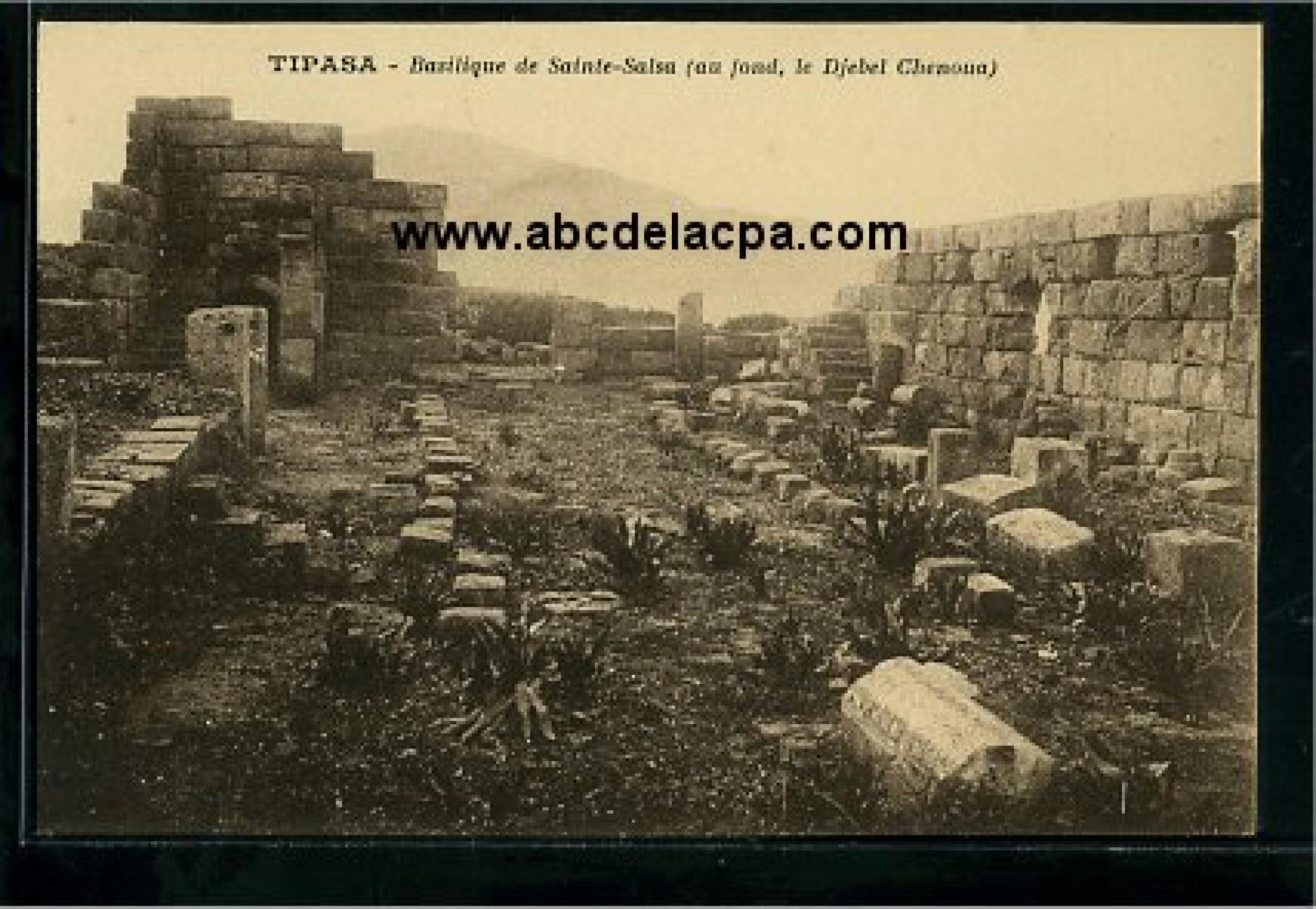 Tipaza  - basilique de saint salsa (aufond, le djebel chenoua)