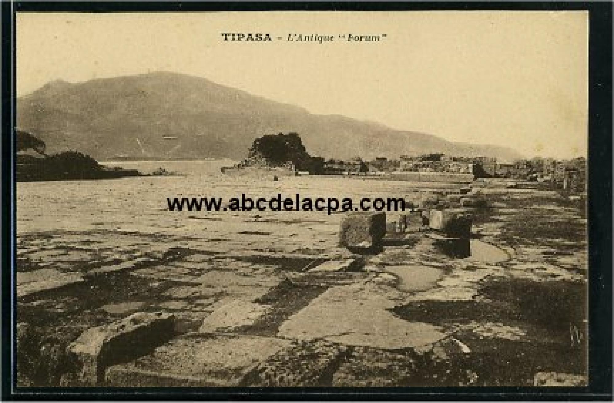 Tipaza  - l'antique forum