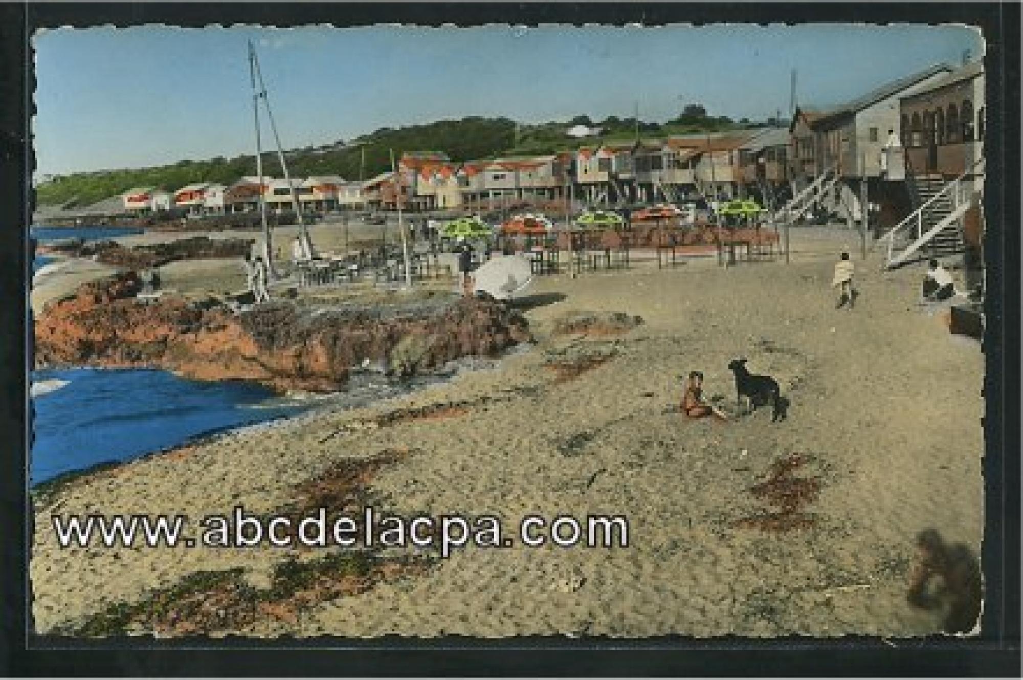 Tipaza  - les cabanons et plage matarèse