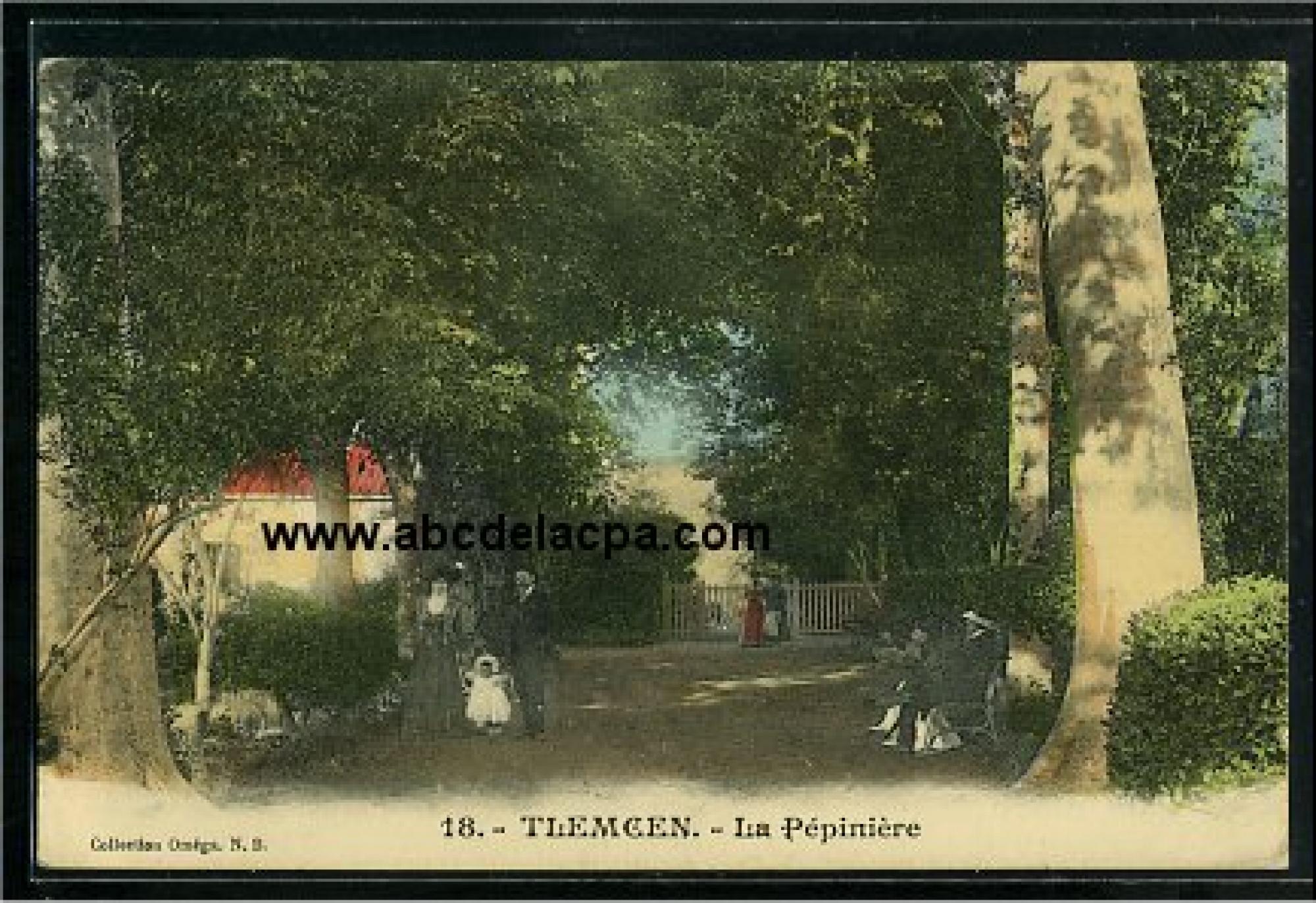 Tlemcen  - la pépinière