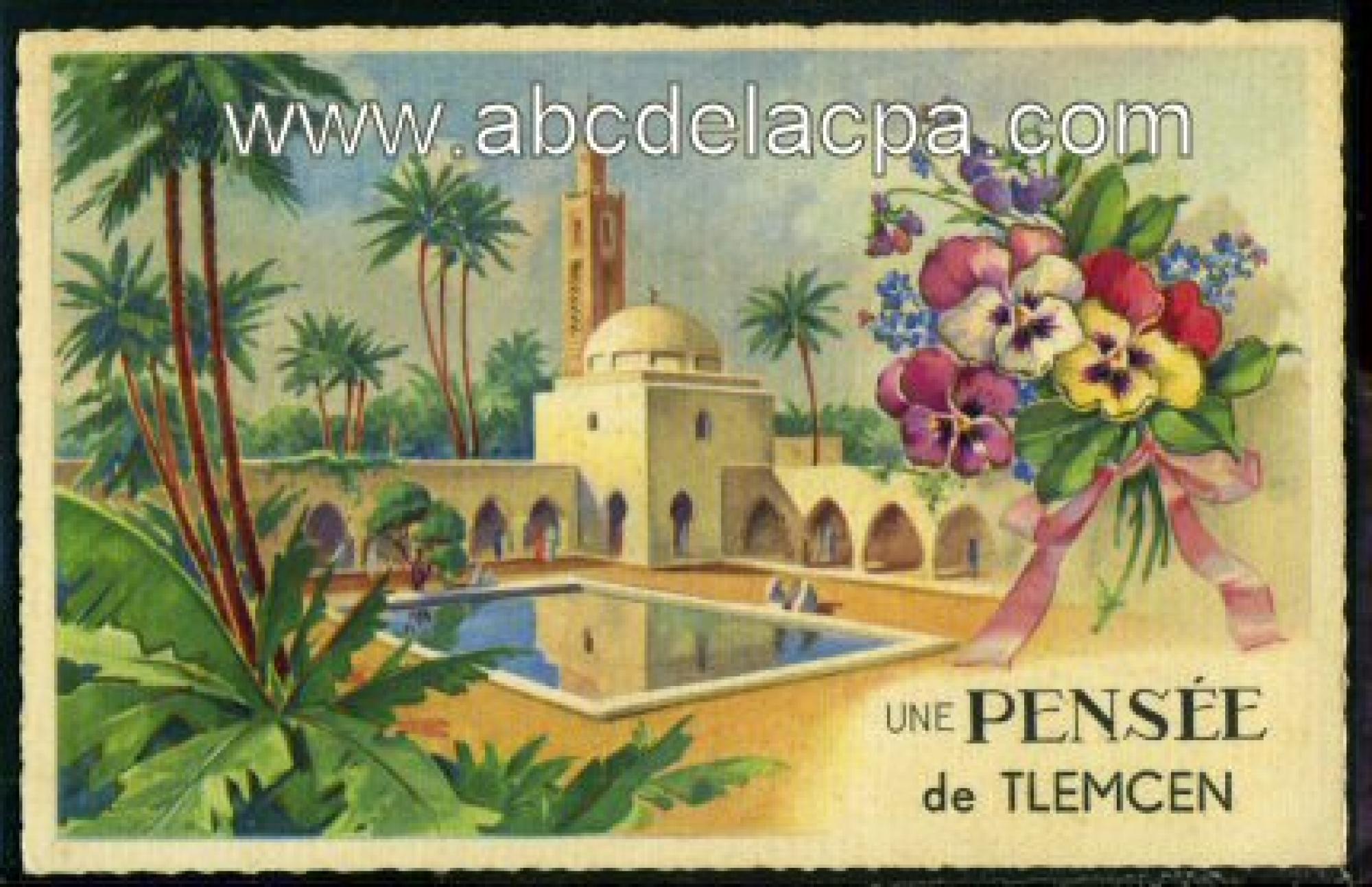Tlemcen  - une pensée de tlemcen