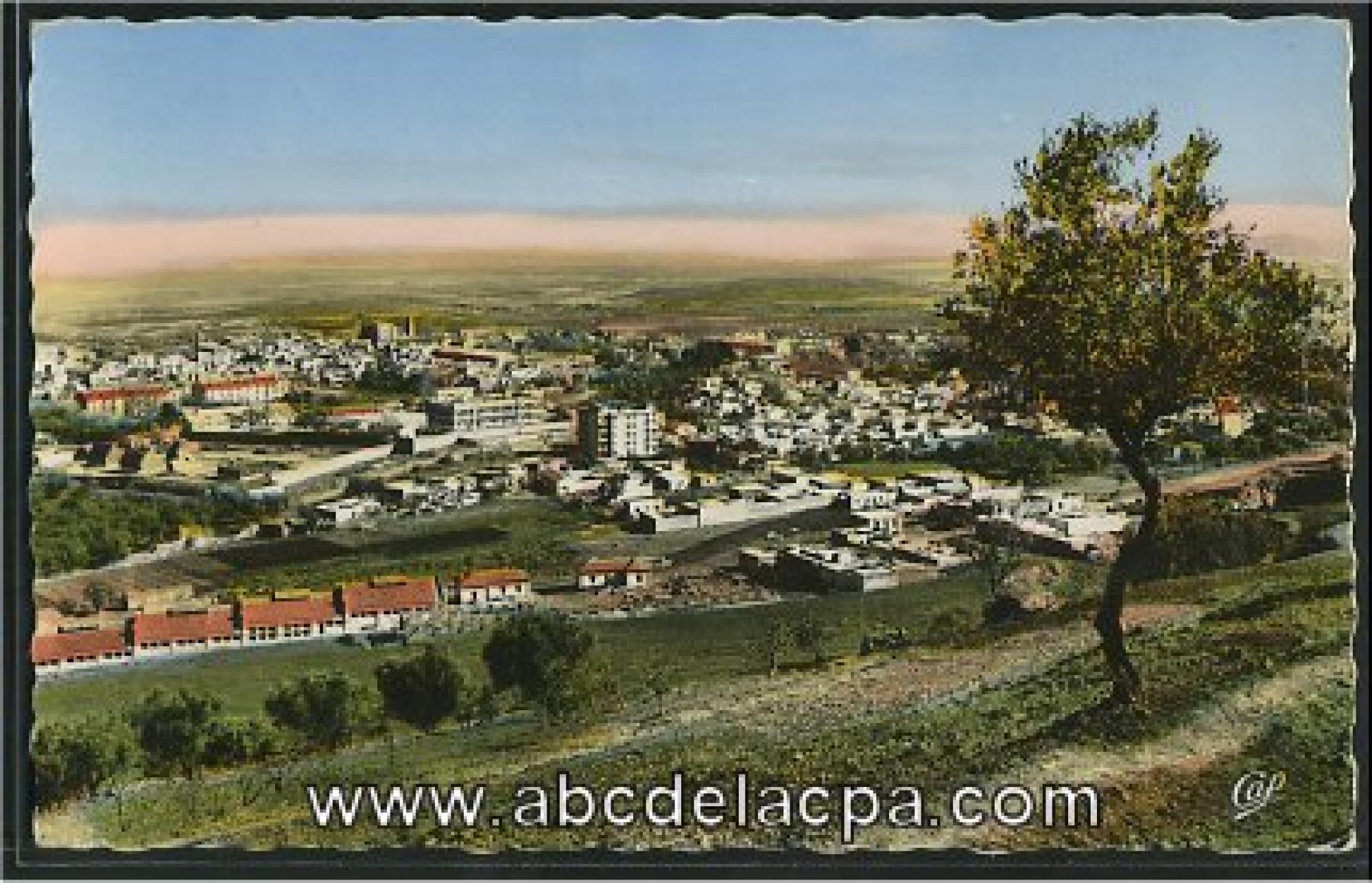 Tlemcen  - vue générale