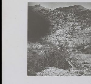 Ségia-ponceau pour irrigation !