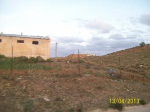 دائما ببوعتاب يابوس