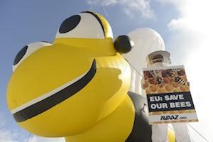 Planète - UE: Enorme victoire pour les abeilles!!!