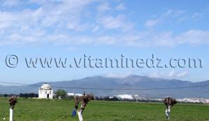 Un étrange mausolée chrétien perdue quelque part dans un champ situé près de l\'Aéroport d\'Annaba.