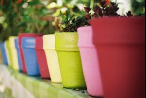 Jardin d'essai Parcs naturels