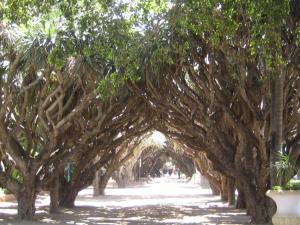 Jardin d'essai Parcs naturels