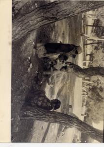 Les anciens ( tiqdimine ) Photos anciennes