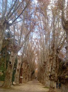 Jardin d'Essai Parcs