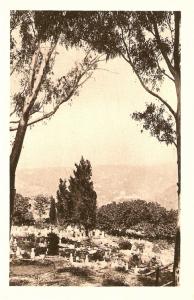 Cimetière Cartes postales