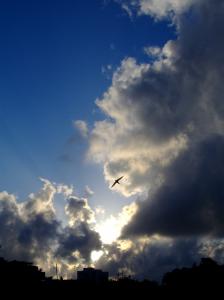 Lever du soleil Crépuscules / Aurore