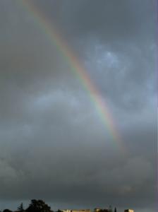 Arc en ciel algérois Arcs-en-ciel