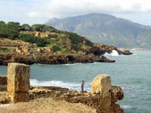 Pêcheur à tipaza, chénoua à l'horizon Paysages