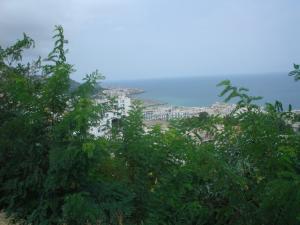 Hauteurs  alger Paysages