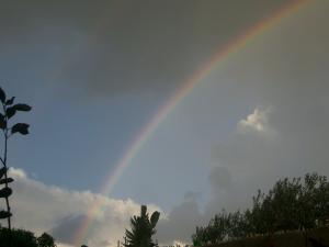 Arc en ciel à  boumerdes Arcs-en-ciel