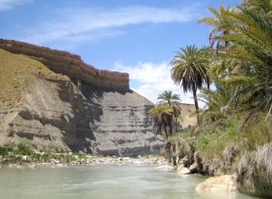 Coccinelle, etc Insectes et arachnides