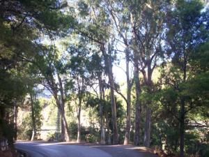 Route des Gorges Paysages