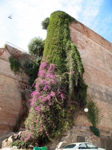 Mur de la casbah Villes
