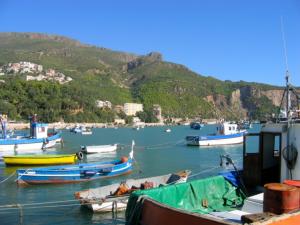 Port de Bejaia Villes