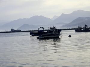 Port de Béjaia Panorama