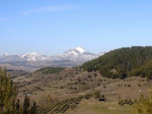 Neige et verdure Paysages