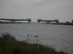 Pont pousséde annaba Actualité