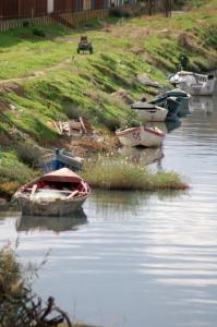Pas de poissons Barques