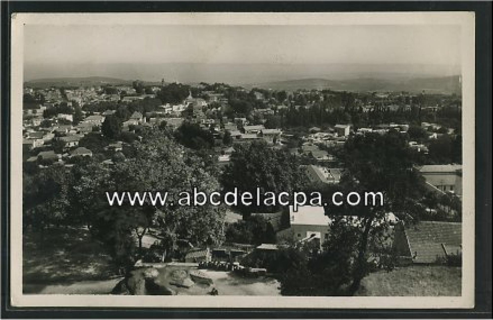 Tlemcen  - vue générale
