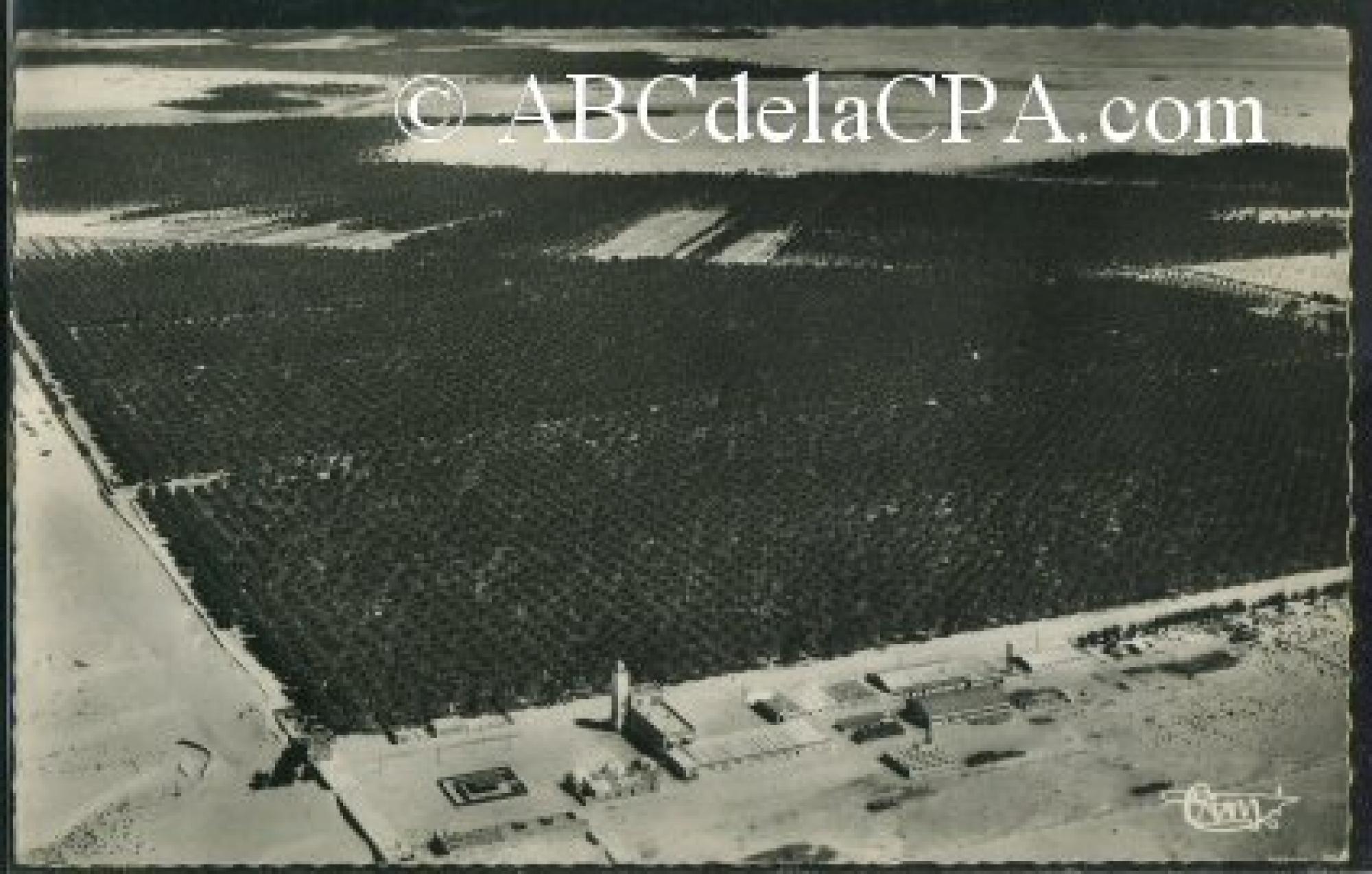 Touggourt  - vue aérienne