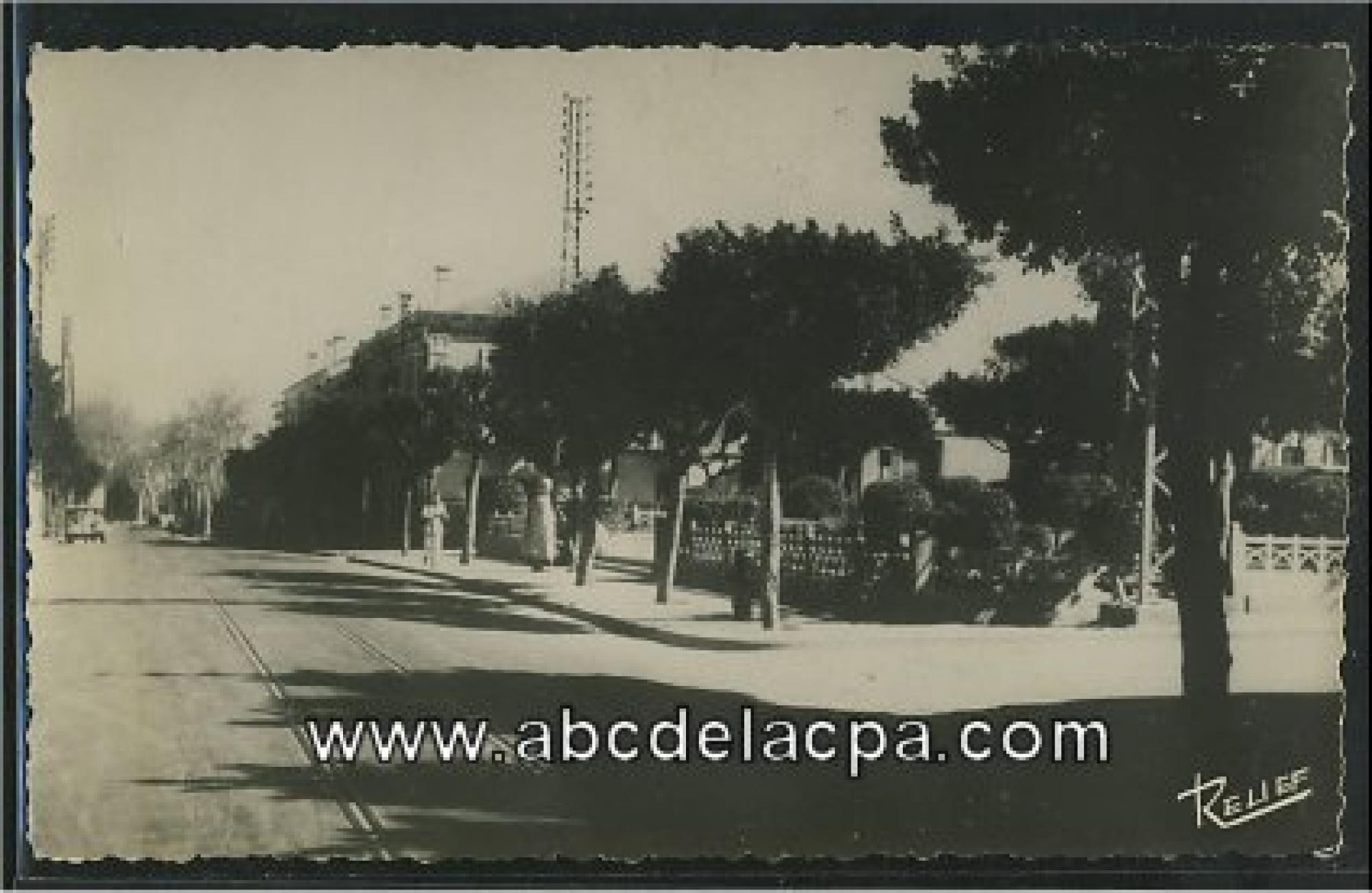 Zeralda  - grande rue