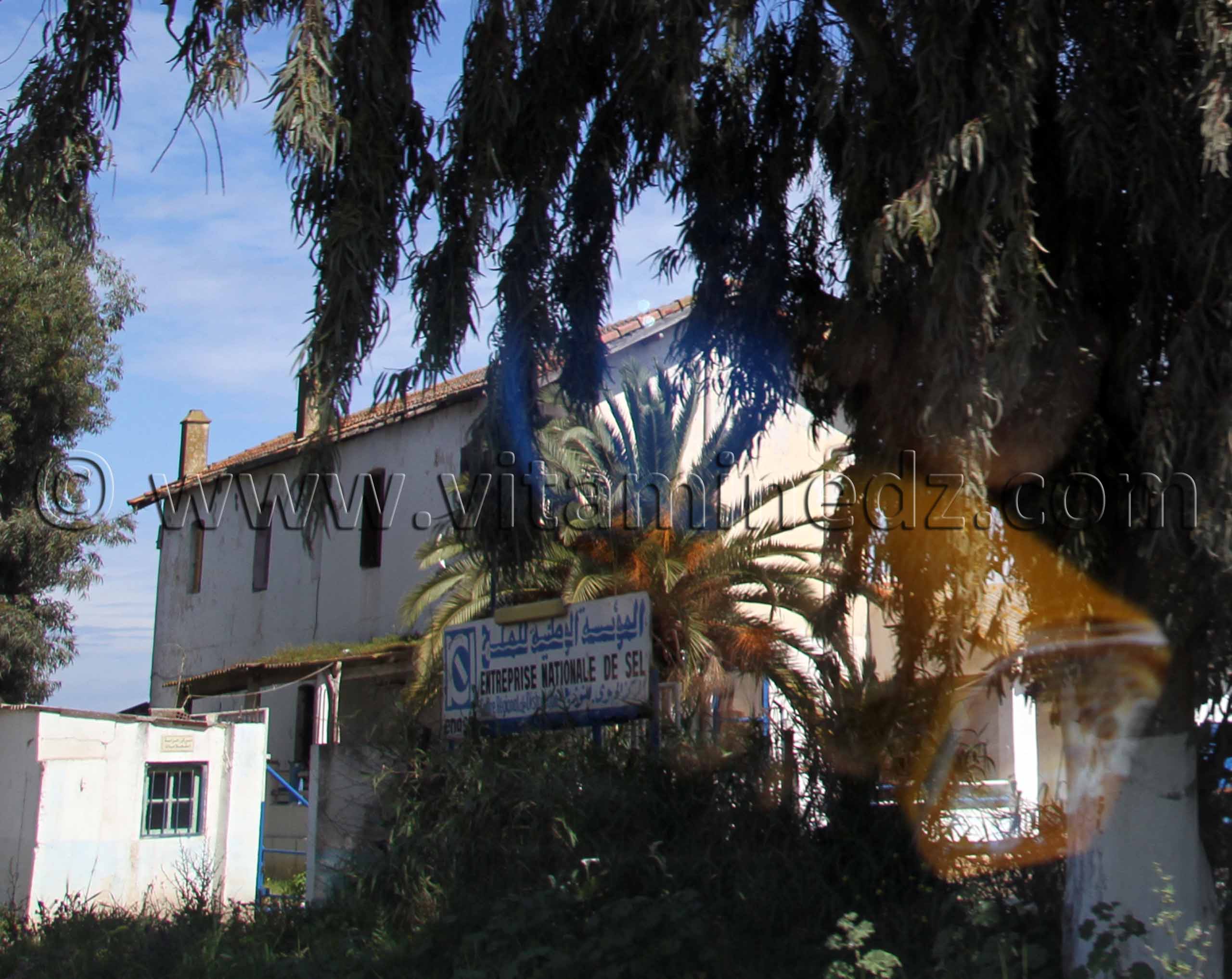 images d'annaba - Siège d'ENASEL- Photo Annaba Tourisme 2013