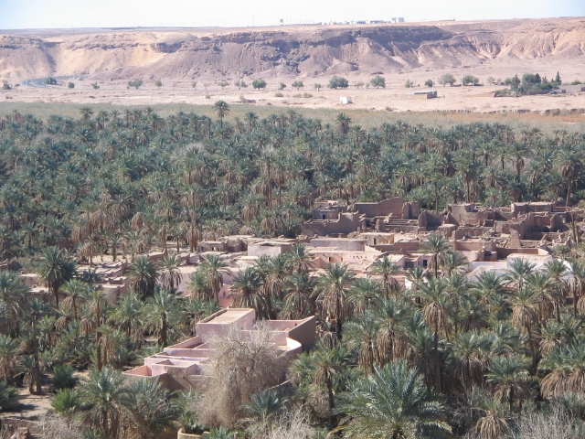 Beni-Abbes 029 Alger