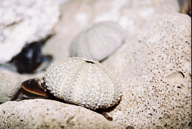 Galet, Jardin d'essai Galets/pierres